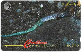 St. Lucia - C&W (GPT) - The St. Lucia Whip Tail Lizard - 99CSLA - 1996, 30.000ex, Used - Santa Lucía