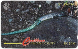 St. Lucia - C&W (GPT) - The St. Lucia Whip Tail Lizard - 201CSLA (Dashed Ø), 1997, 20.000ex, Used - Sainte Lucie
