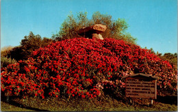 Utah Salt Lake City International Peace Gardens Danish Gardens Viking Mounds - Salt Lake City