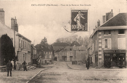 Fayl Billot * Place De La Barre Et Rue Grande * Pharmacie Normale * Villageois - Fayl-Billot