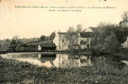 Fayl Billot * Moulin Aux Moines Et Son étang * Minoterie * Grand Centre De Culture Et De Fabrication De Vannerie - Fayl-Billot