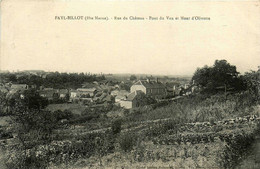 Fayl Billot * Rue Du Château Et Pont Du Vau , Mont D'olivotte - Fayl-Billot