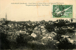 Fayl Billot * Vue Générale Du Village Partie Nord , Rue Brugnon * Grand Centre De Culture Et De Fabrication De Vannerie - Fayl-Billot