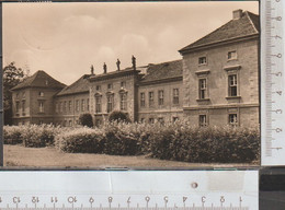 Rheinsberg Schloss Gelaufen 1963 (AK 2617 ) - Rheinsberg