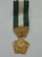 Médaille / Décoration COLLECTIVITES LOCALES    **** EN ACHAT IMMEDIAT **** - Francia