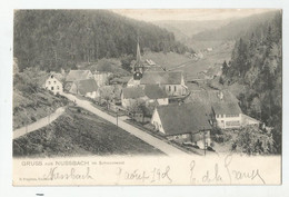 Allemagne Germany B W Gruss Aus Nussbach Im Schwarzwald 1905 Ed H Prophète - Oberkirch