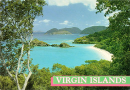 Trunk Bay, St.John, Virgin Islands (part National Park Donated By Rockefeller Family) - Isole Vergini Americane
