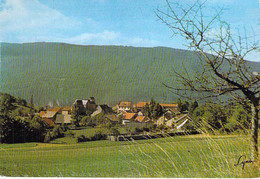 01 - ARMIX : Vue Générale - CPSM CPM Village Grand Format - Ain - Non Classés