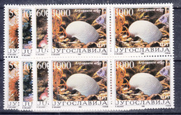 Yugoslavia Republic 1988 Sea Shells Mi#2275-2278 Mint Never Hinged Pieces Of 4 - Ungebraucht