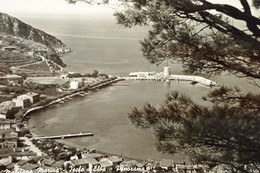 Cartolina - Marciana Marina - Isola D'Elba - Panorama - 1955 Ca. - Livorno