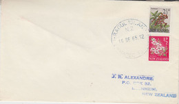 Raoul Island New Zealand Cover Ca 16 DEC 1965 (57867) - Cartas & Documentos