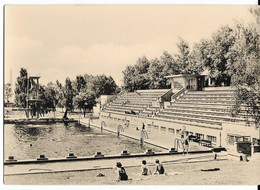 LUTHERSTADT WITTENBERG-PIESTERITZ. Schwimmbad Im Volkspark, Cpm - Lutherstadt Eisleben