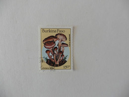 Afrique > Burkina Faso  :Poste Aérienne  : Timbre Neuf N°311  Les  Champignons - Burkina Faso (1984-...)