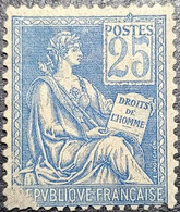 Poste France Yv N°114 Mouchon 25c Bleu. Neuf. Voir Scan - 1900-02 Mouchon