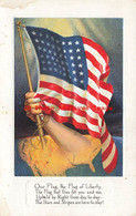 340263-Patriotic, Arm Raising A Flag From The United States Map, Flag Series No 4 - Autres & Non Classés