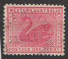 Australia  Western Australia  1902  117  1d  Fine Used - Usati