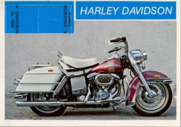 HARLEY DAVIDSON - MOTOCICLETA , MOTORCYCLE , MOTORRAD - CROMO / FOTOGRAFIA TROQUELADO AÑOS 70 , ED. DIDEC , RARO - Otros & Sin Clasificación