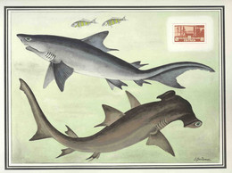 ERITREA(1953) Shark Fishery. Oversized Proof Printed By Helio-Vaugirard. Scott No 161. Yvert No 197. Gorgeous! - Eritrea