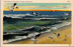 New York Coney Island Sea Gulls On The Beach - Brooklyn