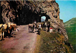 Animaux - Anes - Vaches - Col D'Aubisque - Le Tunnel De La Roche Bazan - CPM - Voir Scans Recto-Verso - Donkeys