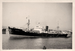 TAHSINIA * Carte Photo * Bateau Paquebot Commerce Cargo * Compagnie Société ANCHOR - Piroscafi