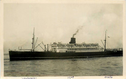 CALEDONIA * Carte Photo * Bateau Paquebot Commerce Cargo * Compagnie Société ANCHOR - Piroscafi