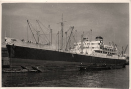 ARGENTINA STAR * Carte Photo * Bateau Paquebot Commerce Cargo * Compagnie Société Blue Star Line - Piroscafi