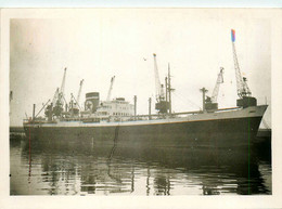 ENGLISH STAR * Carte Photo * Bateau Paquebot Commerce Cargo * Compagnie Société Blue Star Line - Piroscafi