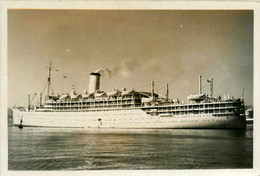 ORION * Carte Photo * Bateau Paquebot Commerce Cargo * Compagnie Société Orient Line - Piroscafi