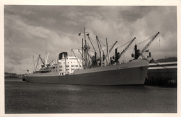 PORT BRISBANE * Carte Photo * Bateau Paquebot Commerce Cargo * Compagnie Société Port Line - Piroscafi