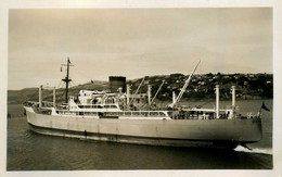 PORT NELSON * Carte Photo * Bateau Paquebot Commerce Cargo * Compagnie Société Port Line - Piroscafi