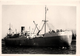 PORT JACKSON * Carte Photo * Bateau Paquebot Commerce Cargo * Compagnie Société Port Line - Piroscafi