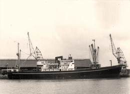 HERON * Carte Photo * Bateau Paquebot Commerce Cargo * Compagnie Société General Steam Navigation - Piroscafi