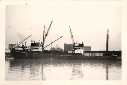 LAPWING * Carte Photo * Bateau Paquebot Commerce Cargo * Compagnie Société General Steam Navigation - Piroscafi