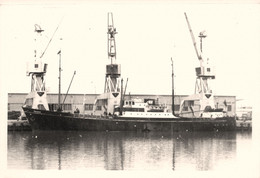 CRANE * Carte Photo * Bateau Paquebot Commerce Cargo * Compagnie Société General Steam Navigation - Piroscafi