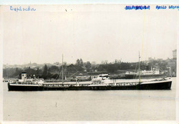 DAPHNELIA * Carte Photo * Bateau Paquebot Commerce Cargo * Compagnie Société Anglo Saxon Pet. - Piroscafi