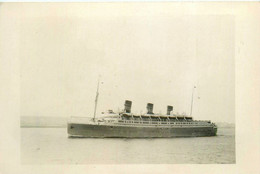 QUEEN OF BERMUDA * Carte Photo * Bateau Paquebot Commerce Cargo * Compagnie Société Furness Withy - Piroscafi