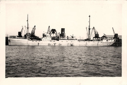 ITALIAN PRINCE * Carte Photo * Bateau Paquebot Commerce Cargo * Compagnie Société Prince Line ( Furness ) - Piroscafi