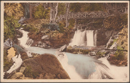 Glen Lyn, Lynmouth, Devon, C.1920s - Postcard - Lynmouth & Lynton