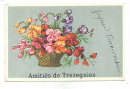 Trazegnies Amitiés ( Beau Cachet Relais De Trazegnies ) - Courcelles