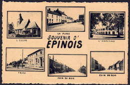 +++ CPA - Souvenir D' EPINOIS - Multivues // - Binche