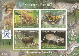 2016 Bangladesh Rare Animals Big Cats   THAILAND 2016 Overprint IMPERF Souvenir Sheet MNH - Bangladesh