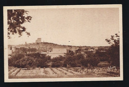 CPA   Vaucluse  84  :  Chateauneuf Du Pape   Vue Générale Côté Est - Chateauneuf Du Pape