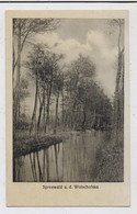 0-7543 LÜBBENAU, Spreewald An Der Wotschofska - Lübbenau