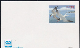 Sc#UX621 29-cent Mint Postal Card, Sea Birds Theme - 2011-...