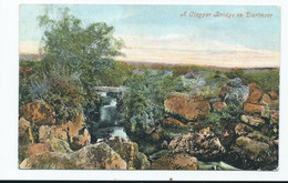 Postcard Devon Dartmoor Clapper Bridge Paignton Duplex Cancel Posted 1905 Valentine's - Dartmoor