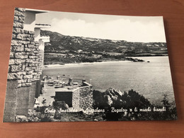 COSTA SMERALDA ARZACHENA ( SASSARI ) BUGALOW A LI MUCCHI BIANCHI 1964 - Sassari