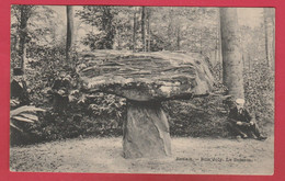 Ronse / Renaix - Bois Joly - Le Dolmen - 1909 ( Voir Verso ) - Renaix - Ronse