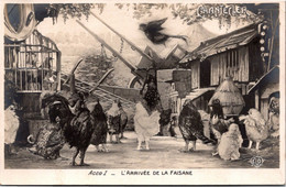 Théâtre CHANTECLER E. Rostand  - Acte I L'arrivée De La Faisane   Edition ELD - Teatro