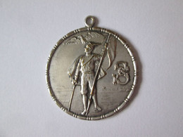 Silvered Medal Collection - Altri & Non Classificati